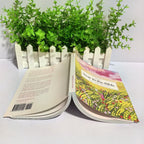 52-Week Bible Study Book for Women