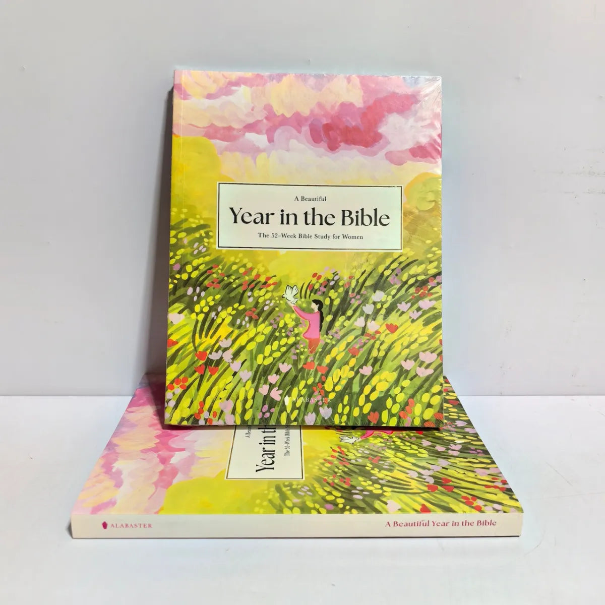 52-Week Bible Study Book for Women